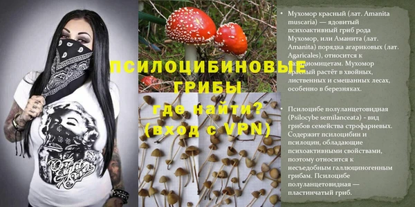 ECSTASY Вяземский
