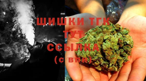 ECSTASY Вяземский