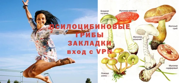гидропоника Вязьма
