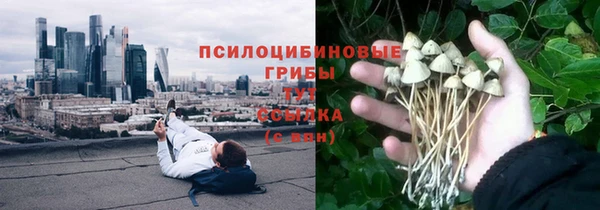 не бодяженный Горно-Алтайск