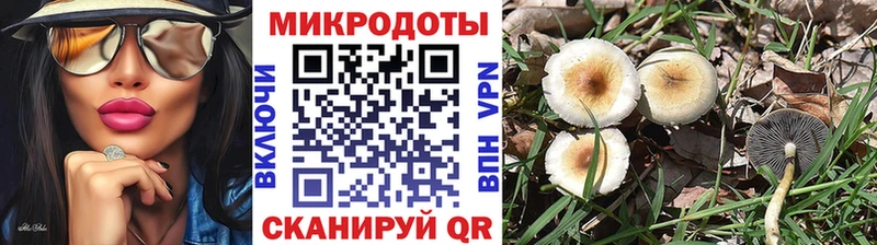 мега как зайти Жуковка Псилоцибиновые грибы ЛСД